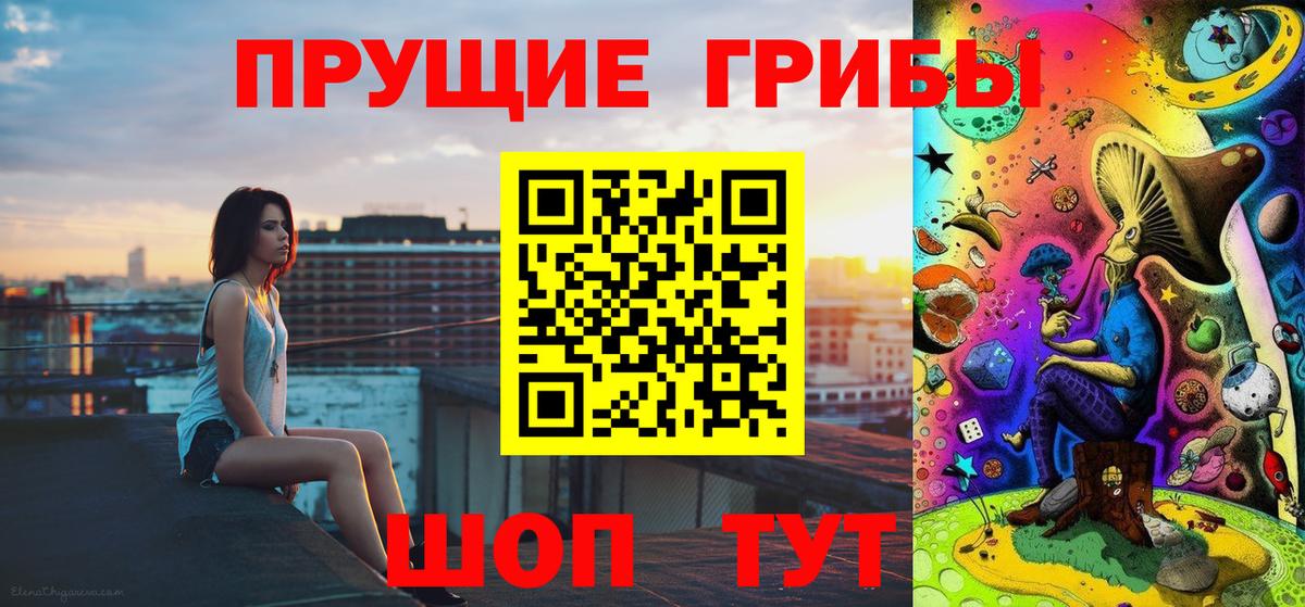 Калининград  Галлюциногенные грибы Psilocybine cubensis  Вход с VPN 