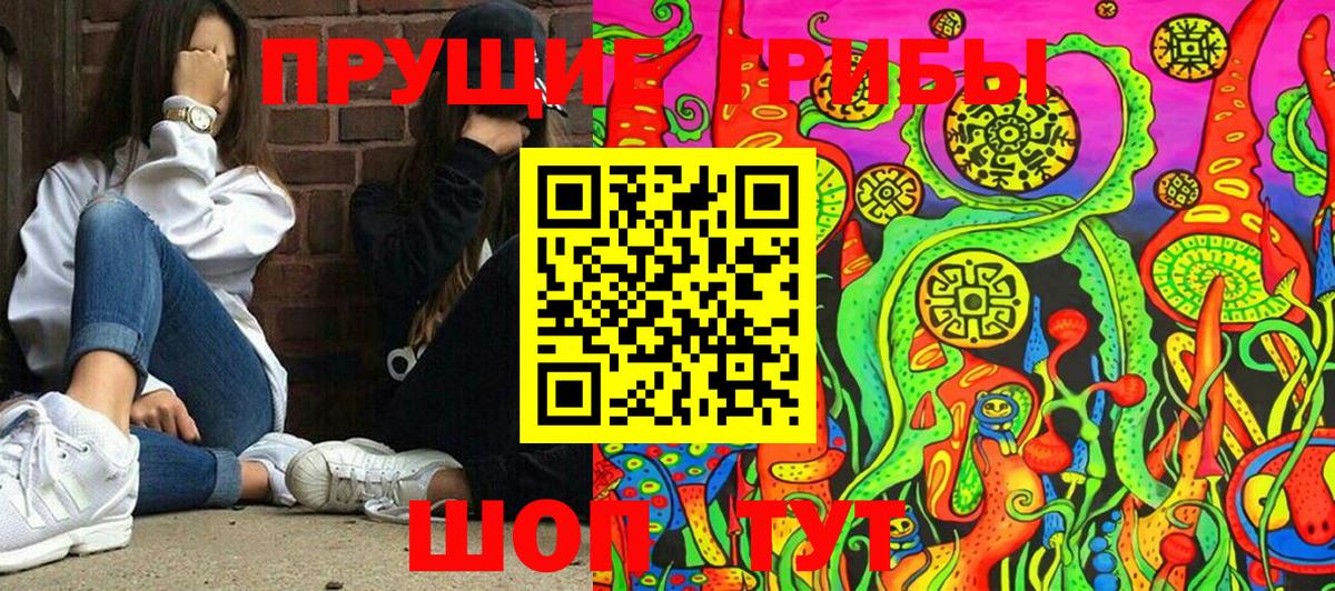 Галлюциногенные грибы Magic Shrooms Калининград